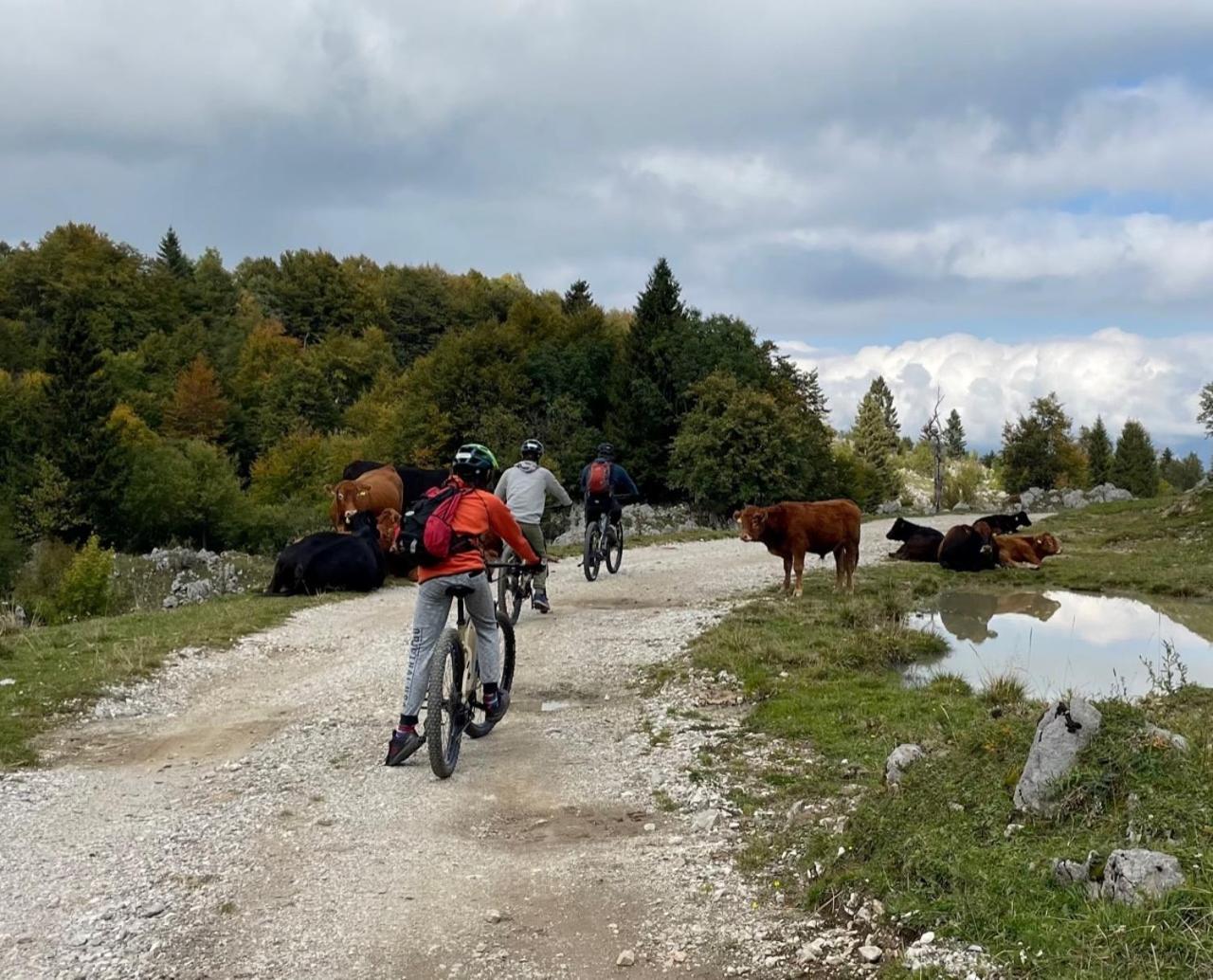 Azimut Hisa Daire Tolmin Dış mekan fotoğraf